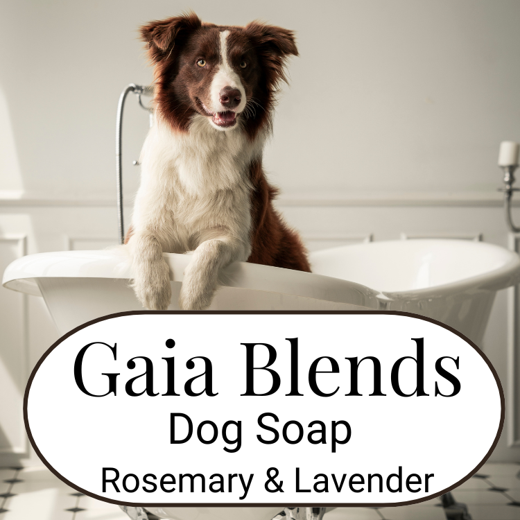 Dog Soap