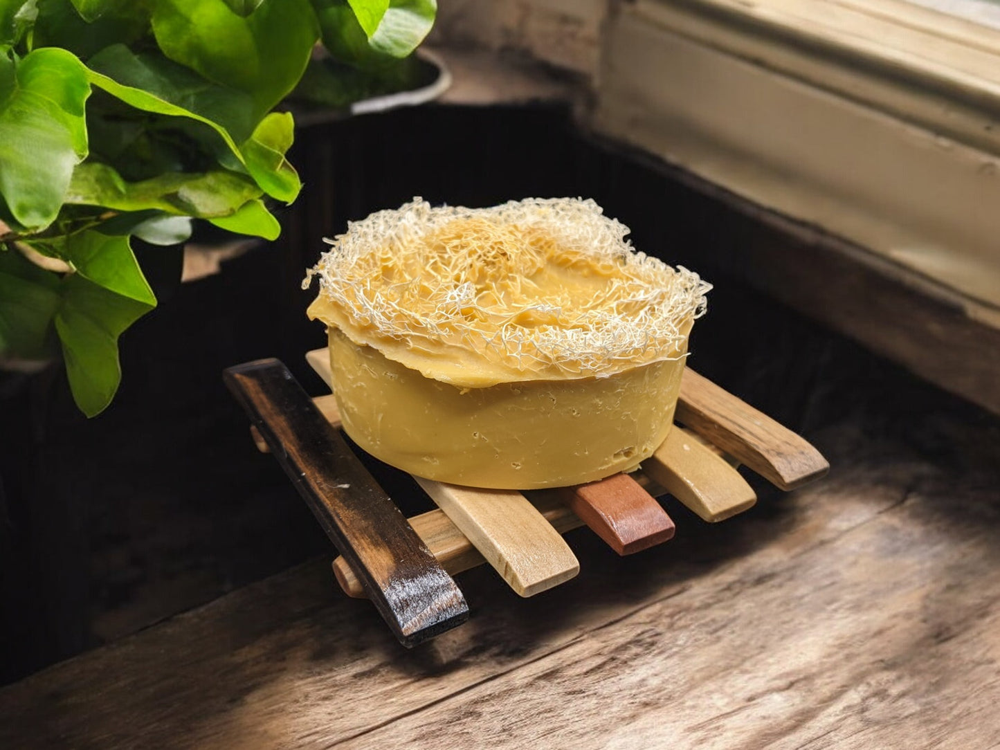 Small Eucalyptus Loofah