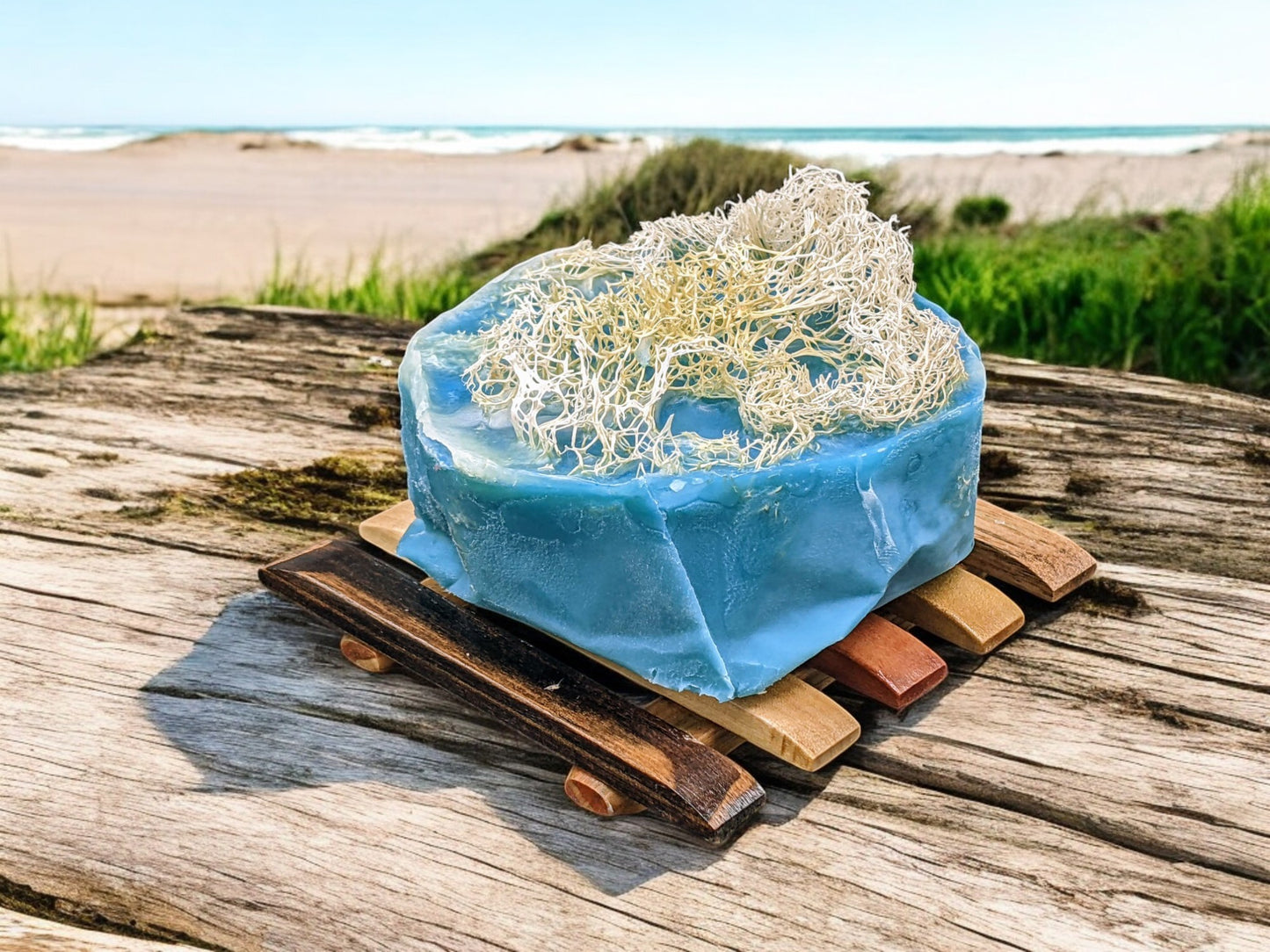 Ocean Shores Loofah