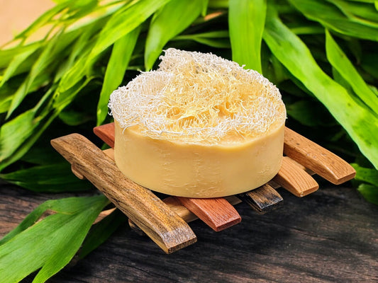 Lemongrass Loofah