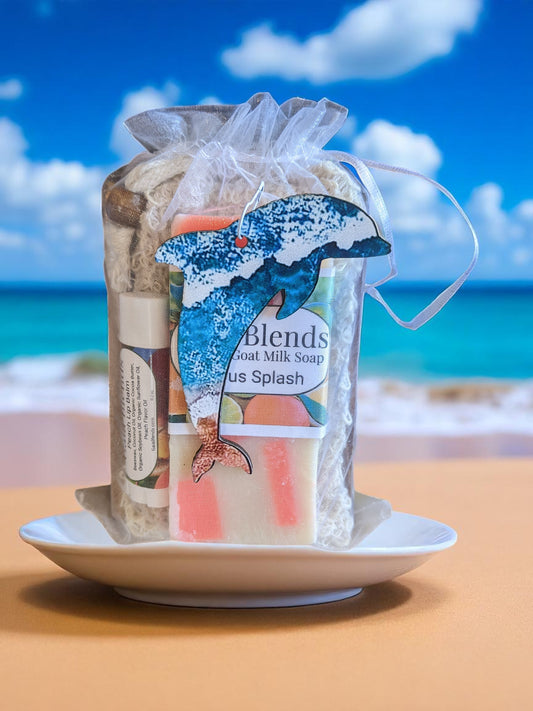 Citrus Splash Dolphin