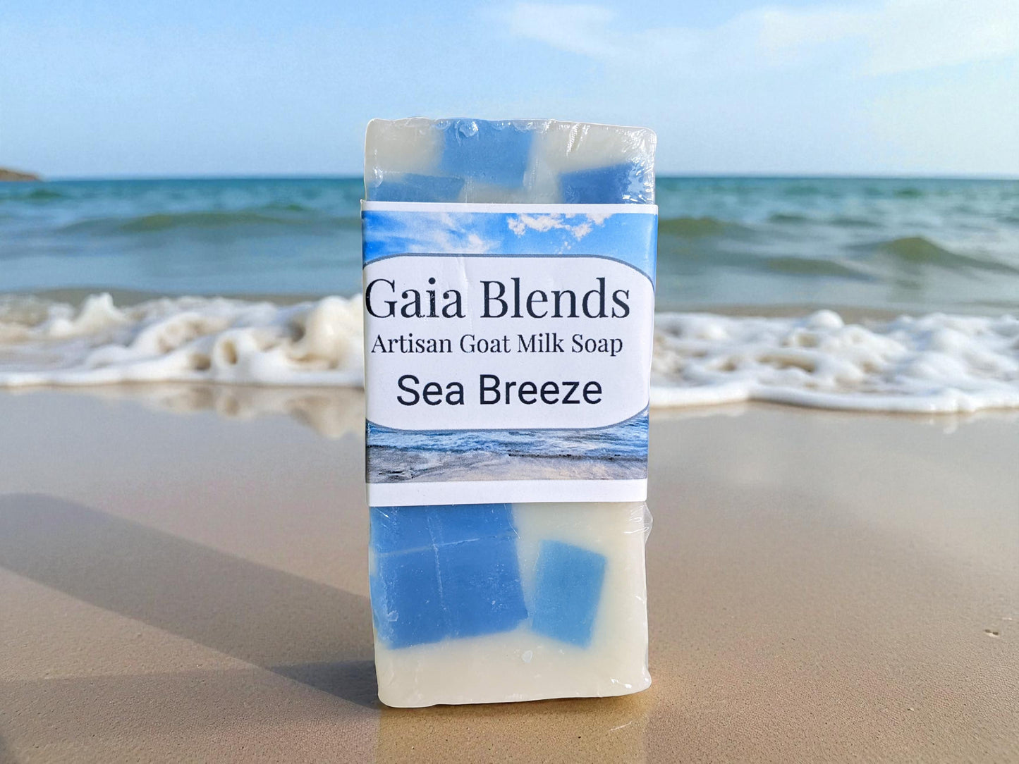 Sea Breeze Beach Shell