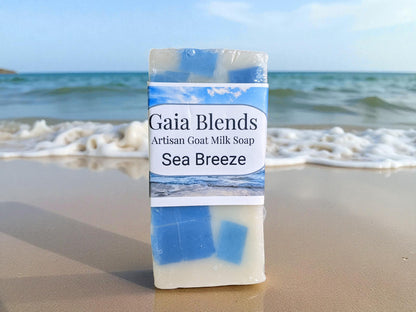 Sea Breeze Beach Shell