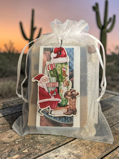 Hickory & Suede Santa in the Desert